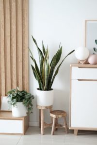Mobilier din lemn masiv la comanda